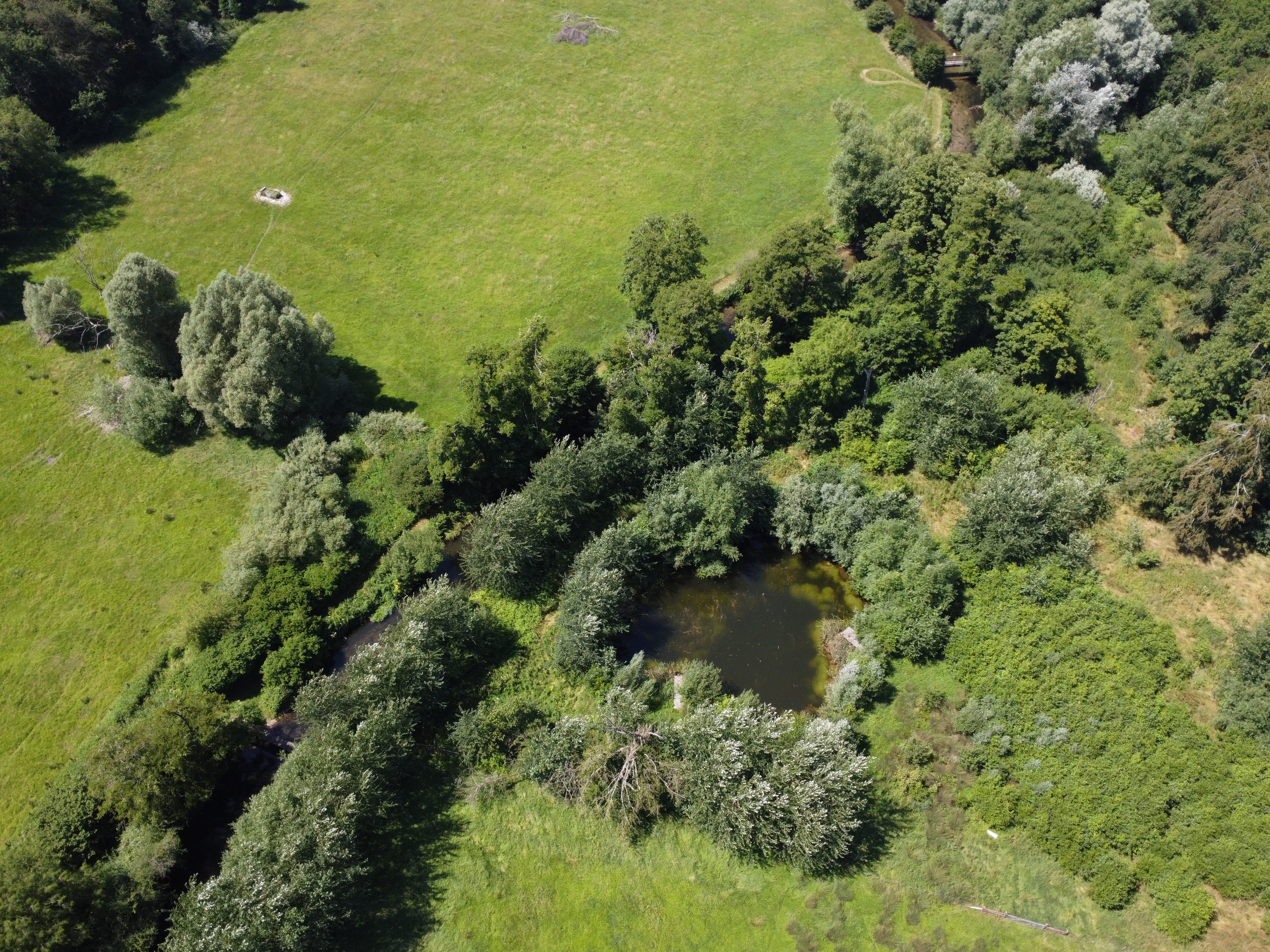 Aerial view of open grassland and mature trees forming wood-pasture parkland at East Farm
